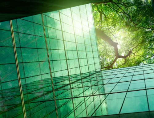 Eco-Conscious Construction: Navigating the Rise of Sustainable Building Practices